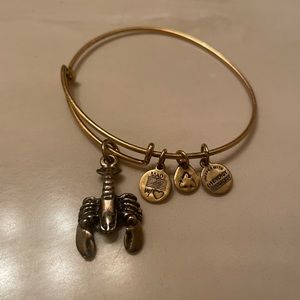 Alex and Ani lobster charm bracelet